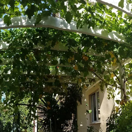 Matic アパート *